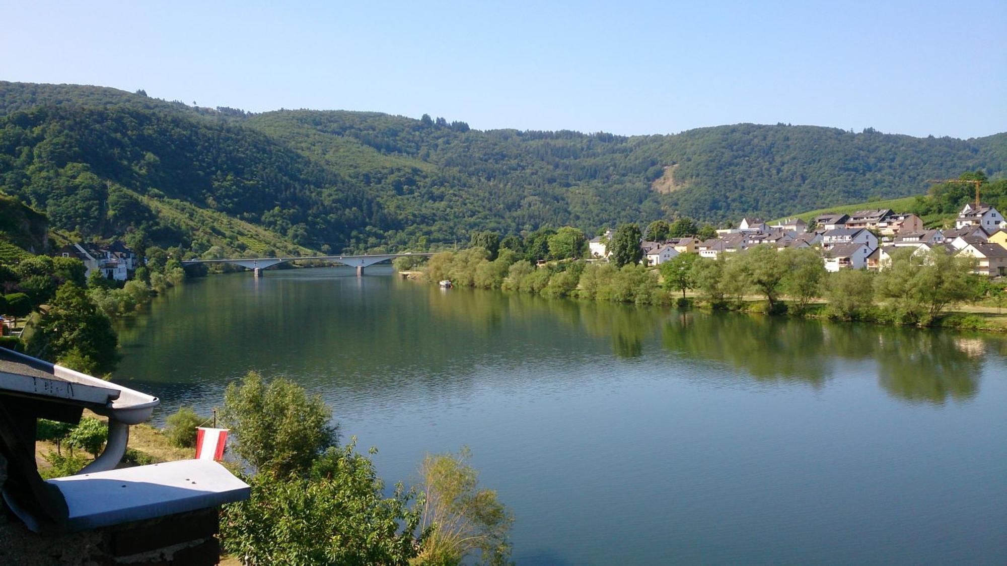 Mosel View Lägenhet Zell an der Mosel Rum bild